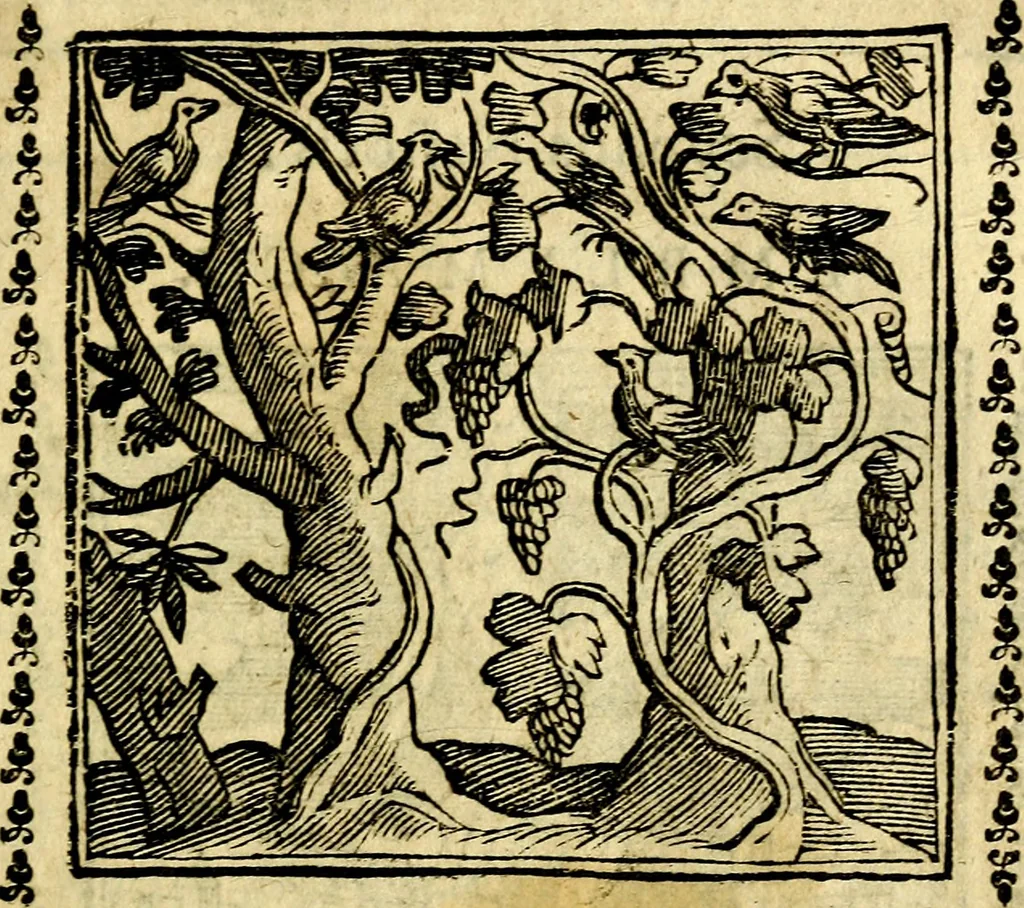 An illustration from Emblemi. Dal latino nel vulgare italiano ridotti, contenenti il fiore et la sostanza de' più scelti scrittori & delle più celebri discipline dell'vniuerso, ripieni di ottimi consigli & saluteuoli documenti, per l'vso ciuile et morale della vita humana, 1626, leaf 156