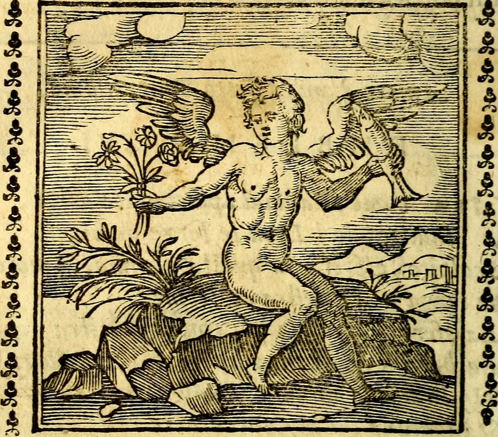 An illustration from Emblemi. Dal latino nel vulgare italiano ridotti, contenenti il fiore et la sostanza de' più scelti scrittori & delle più celebri discipline dell'vniuerso, ripieni di ottimi consigli & saluteuoli documenti, per l'vso ciuile et morale della vita humana, 1626, leaf 165