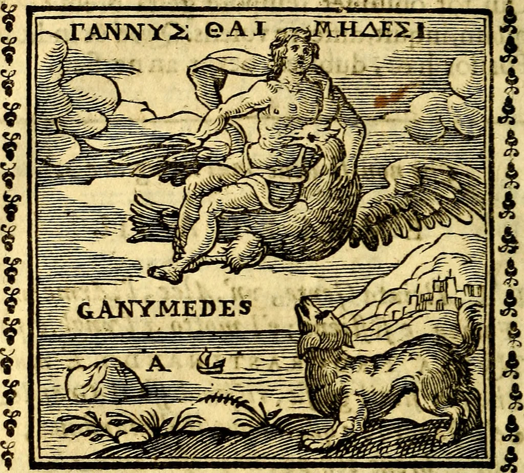 An illustration from Emblemi. Dal latino nel vulgare italiano ridotti, contenenti il fiore et la sostanza de' più scelti scrittori & delle più celebri discipline dell'vniuerso, ripieni di ottimi consigli & saluteuoli documenti, per l'vso ciuile et morale della vita humana, 1626, leaf 17