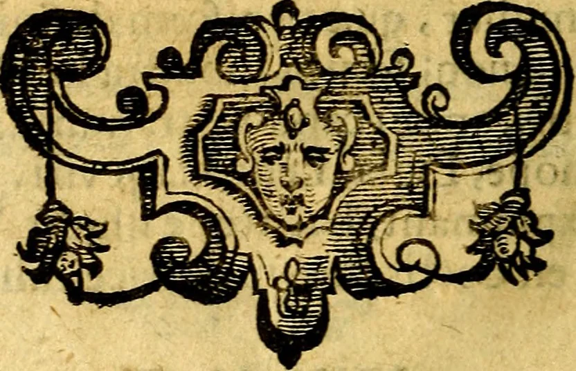 An illustration from Emblemi. Dal latino nel vulgare italiano ridotti, contenenti il fiore et la sostanza de' più scelti scrittori & delle più celebri discipline dell'vniuerso, ripieni di ottimi consigli & saluteuoli documenti, per l'vso ciuile et morale della vita humana, 1626, leaf 181