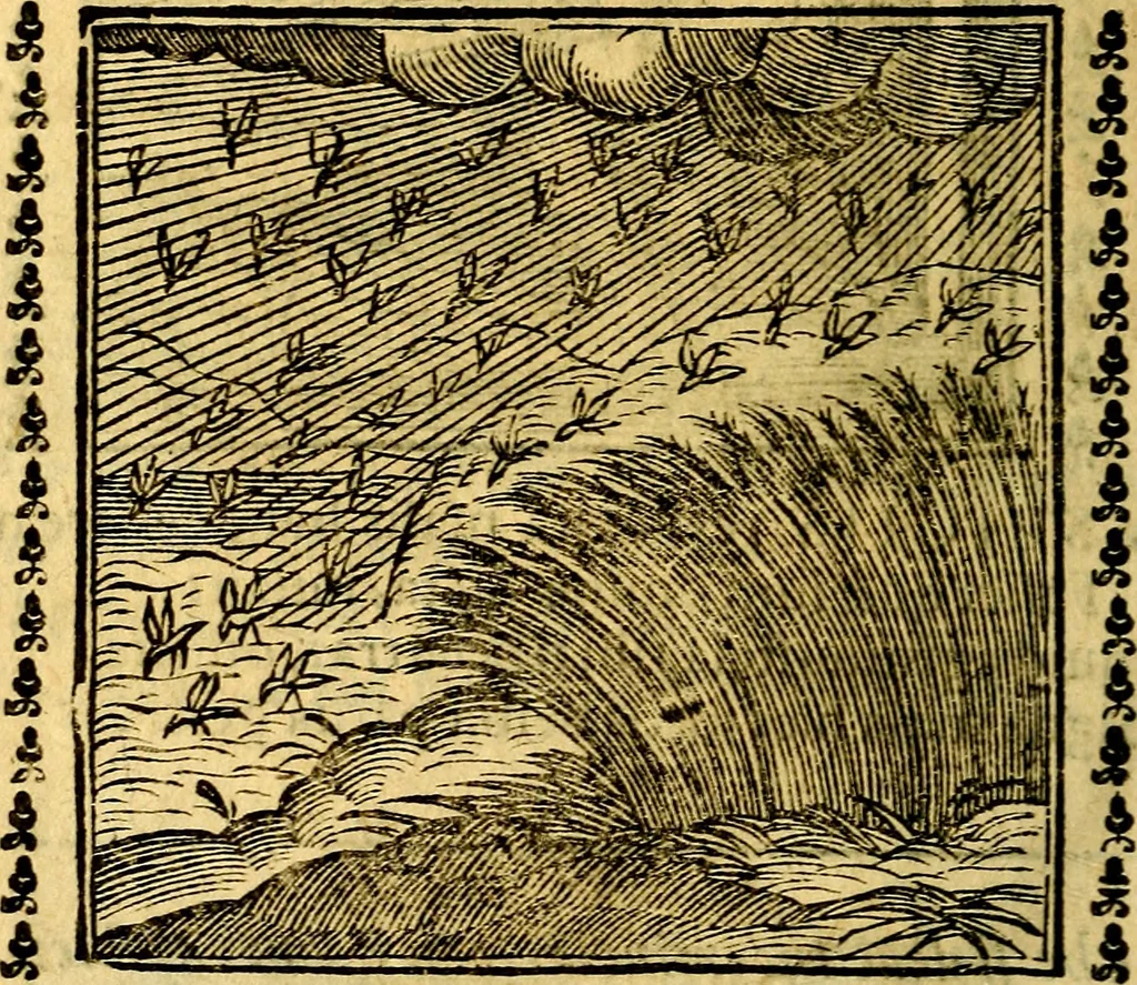 An illustration from Emblemi. Dal latino nel vulgare italiano ridotti, contenenti il fiore et la sostanza de' più scelti scrittori & delle più celebri discipline dell'vniuerso, ripieni di ottimi consigli & saluteuoli documenti, per l'vso ciuile et morale della vita humana, 1626, leaf 199