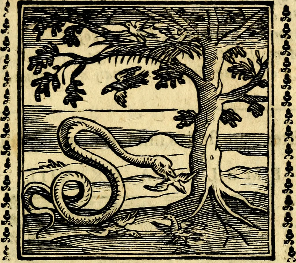 An illustration from Emblemi. Dal latino nel vulgare italiano ridotti, contenenti il fiore et la sostanza de' più scelti scrittori & delle più celebri discipline dell'vniuerso, ripieni di ottimi consigli & saluteuoli documenti, per l'vso ciuile et morale della vita humana, 1626, leaf 206