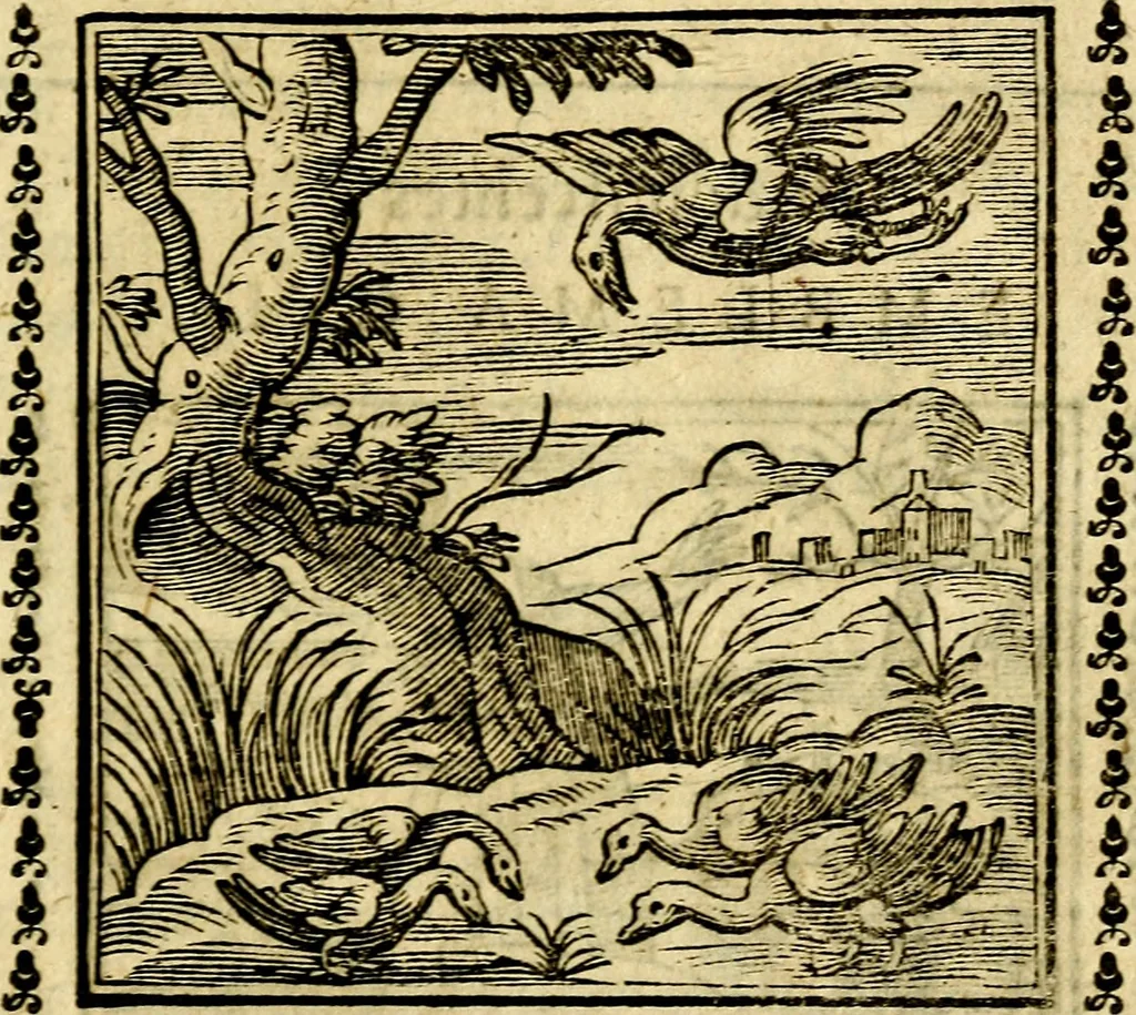 An illustration from Emblemi. Dal latino nel vulgare italiano ridotti, contenenti il fiore et la sostanza de' più scelti scrittori & delle più celebri discipline dell'vniuerso, ripieni di ottimi consigli & saluteuoli documenti, per l'vso ciuile et morale della vita humana, 1626, leaf 218
