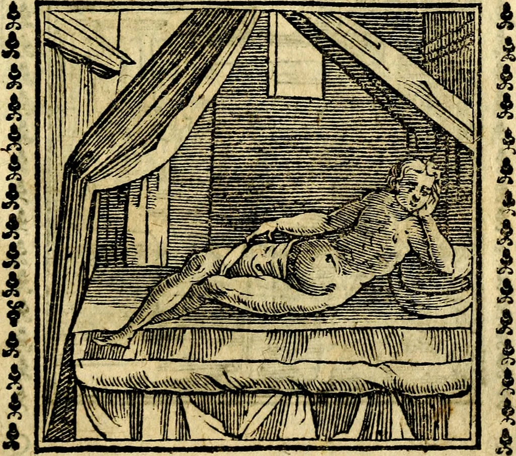 An illustration from Emblemi. Dal latino nel vulgare italiano ridotti, contenenti il fiore et la sostanza de' più scelti scrittori & delle più celebri discipline dell'vniuerso, ripieni di ottimi consigli & saluteuoli documenti, per l'vso ciuile et morale della vita humana, 1626, leaf 228