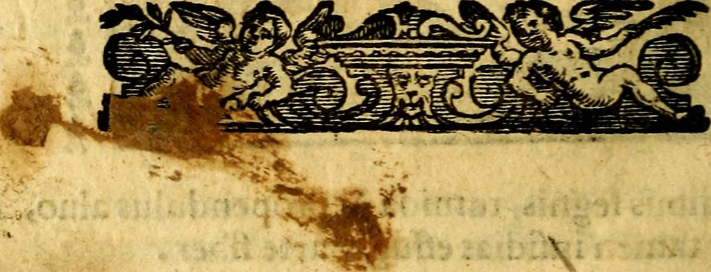 An illustration from Emblemi. Dal latino nel vulgare italiano ridotti, contenenti il fiore et la sostanza de' più scelti scrittori & delle più celebri discipline dell'vniuerso, ripieni di ottimi consigli & saluteuoli documenti, per l'vso ciuile et morale della vita humana, 1626, leaf 237