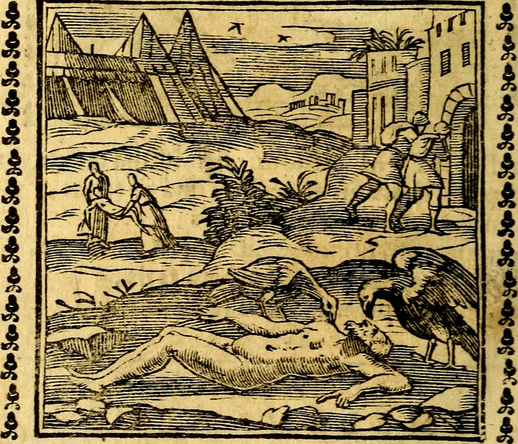 An illustration from Emblemi. Dal latino nel vulgare italiano ridotti, contenenti il fiore et la sostanza de' più scelti scrittori & delle più celebri discipline dell'vniuerso, ripieni di ottimi consigli & saluteuoli documenti, per l'vso ciuile et morale della vita humana, 1626, leaf 245