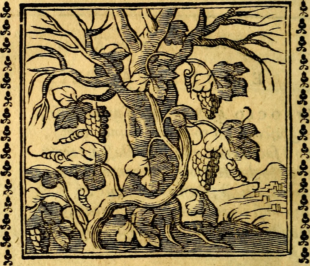 An illustration from Emblemi. Dal latino nel vulgare italiano ridotti, contenenti il fiore et la sostanza de' più scelti scrittori & delle più celebri discipline dell'vniuerso, ripieni di ottimi consigli & saluteuoli documenti, per l'vso ciuile et morale della vita humana, 1626, leaf 247