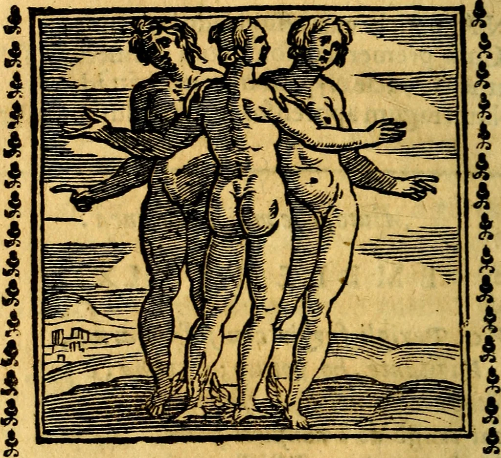 An illustration from Emblemi. Dal latino nel vulgare italiano ridotti, contenenti il fiore et la sostanza de' più scelti scrittori & delle più celebri discipline dell'vniuerso, ripieni di ottimi consigli & saluteuoli documenti, per l'vso ciuile et morale della vita humana, 1626, leaf 251