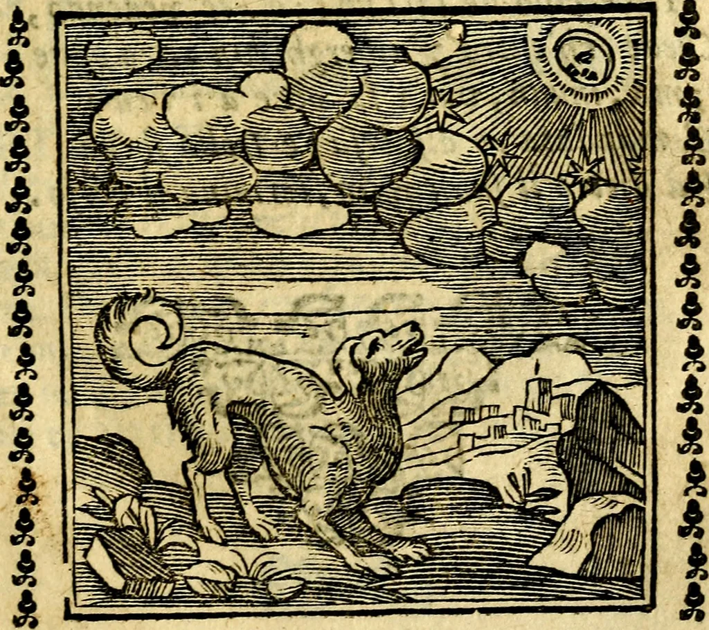 An illustration from Emblemi. Dal latino nel vulgare italiano ridotti, contenenti il fiore et la sostanza de' più scelti scrittori & delle più celebri discipline dell'vniuerso, ripieni di ottimi consigli & saluteuoli documenti, per l'vso ciuile et morale della vita humana, 1626, leaf 254