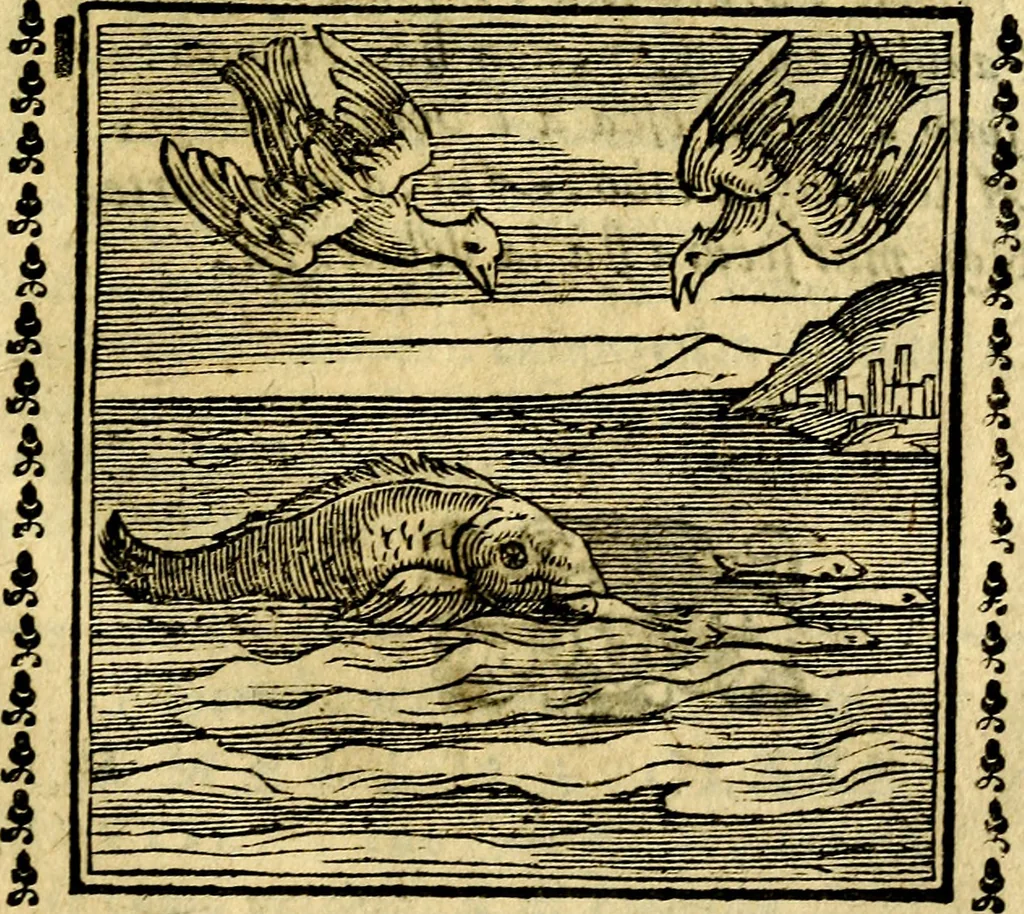 An illustration from Emblemi. Dal latino nel vulgare italiano ridotti, contenenti il fiore et la sostanza de' più scelti scrittori & delle più celebri discipline dell'vniuerso, ripieni di ottimi consigli & saluteuoli documenti, per l'vso ciuile et morale della vita humana, 1626, leaf 262