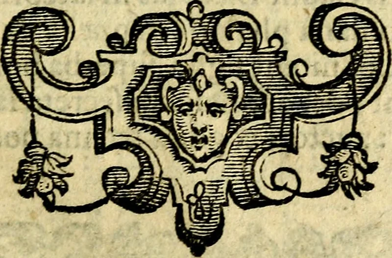 An illustration from Emblemi. Dal latino nel vulgare italiano ridotti, contenenti il fiore et la sostanza de' più scelti scrittori & delle più celebri discipline dell'vniuerso, ripieni di ottimi consigli & saluteuoli documenti, per l'vso ciuile et morale della vita humana, 1626, leaf 28