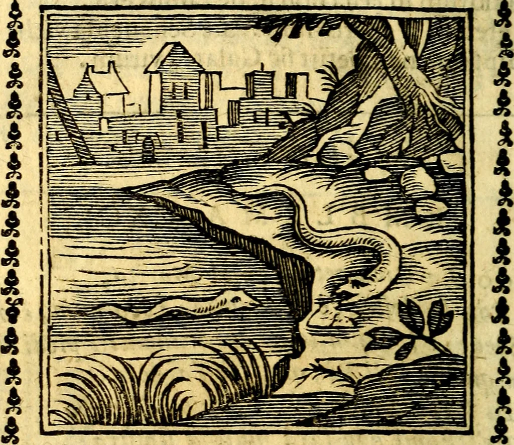 An illustration from Emblemi. Dal latino nel vulgare italiano ridotti, contenenti il fiore et la sostanza de' più scelti scrittori & delle più celebri discipline dell'vniuerso, ripieni di ottimi consigli & saluteuoli documenti, per l'vso ciuile et morale della vita humana, 1626, leaf 297