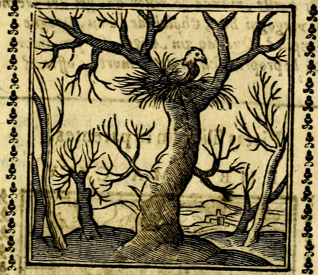 An illustration from Emblemi. Dal latino nel vulgare italiano ridotti, contenenti il fiore et la sostanza de' più scelti scrittori & delle più celebri discipline dell'vniuerso, ripieni di ottimi consigli & saluteuoli documenti, per l'vso ciuile et morale della vita humana, 1626, leaf 300