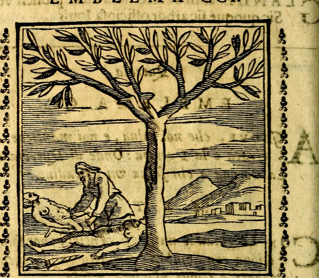 An illustration from Emblemi. Dal latino nel vulgare italiano ridotti, contenenti il fiore et la sostanza de' più scelti scrittori & delle più celebri discipline dell'vniuerso, ripieni di ottimi consigli & saluteuoli documenti, per l'vso ciuile et morale della vita humana, 1626, leaf 311