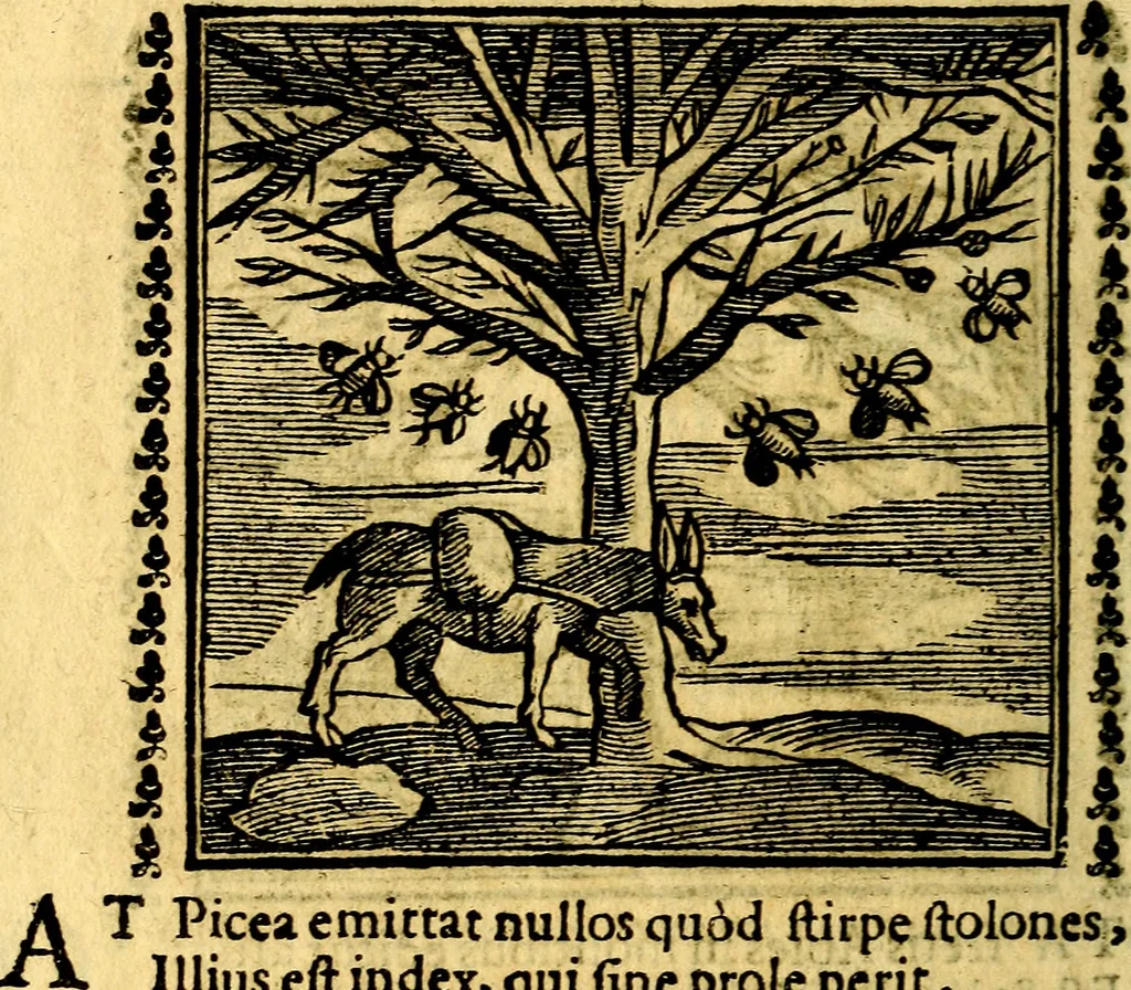 An illustration from Emblemi. Dal latino nel vulgare italiano ridotti, contenenti il fiore et la sostanza de' più scelti scrittori & delle più celebri discipline dell'vniuerso, ripieni di ottimi consigli & saluteuoli documenti, per l'vso ciuile et morale della vita humana, 1626, leaf 313