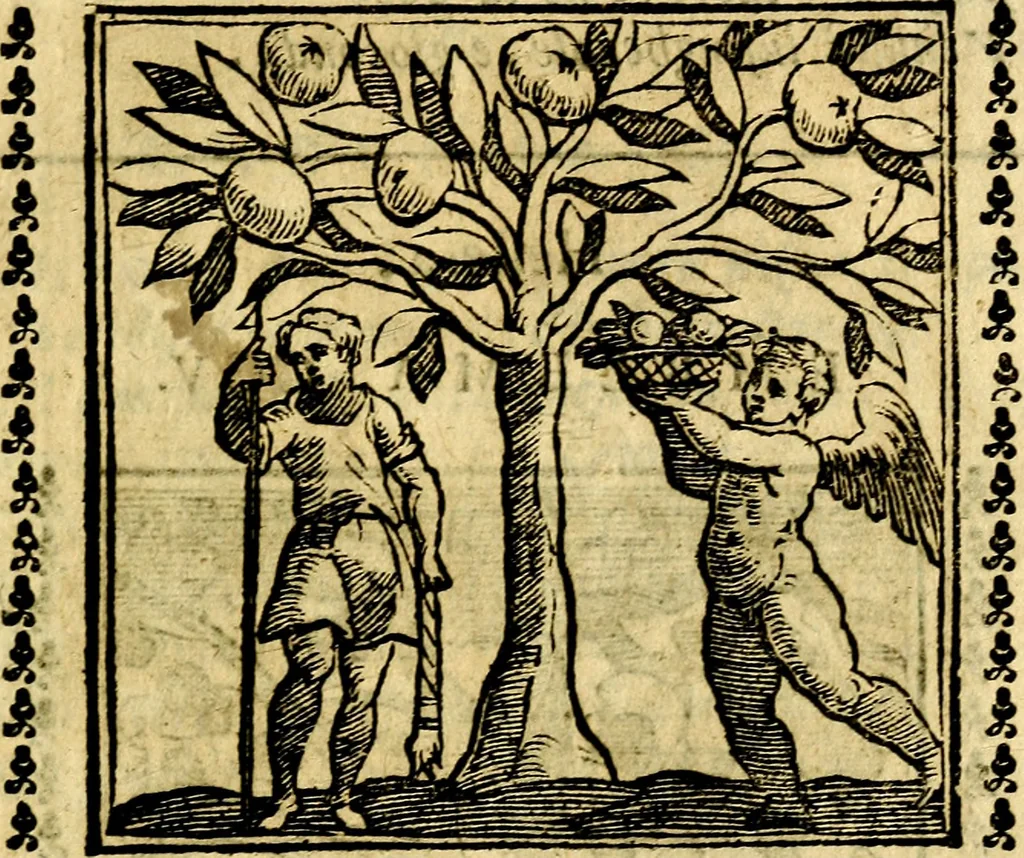 An illustration from Emblemi. Dal latino nel vulgare italiano ridotti, contenenti il fiore et la sostanza de' più scelti scrittori & delle più celebri discipline dell'vniuerso, ripieni di ottimi consigli & saluteuoli documenti, per l'vso ciuile et morale della vita humana, 1626, leaf 314