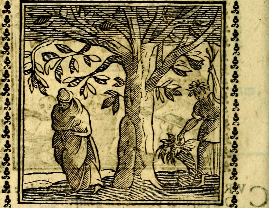 An illustration from Emblemi. Dal latino nel vulgare italiano ridotti, contenenti il fiore et la sostanza de' più scelti scrittori & delle più celebri discipline dell'vniuerso, ripieni di ottimi consigli & saluteuoli documenti, per l'vso ciuile et morale della vita humana, 1626, leaf 321