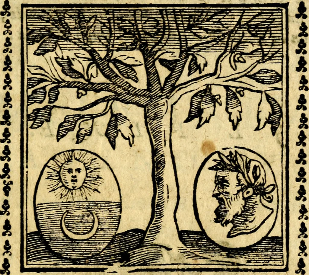 An illustration from Emblemi. Dal latino nel vulgare italiano ridotti, contenenti il fiore et la sostanza de' più scelti scrittori & delle più celebri discipline dell'vniuerso, ripieni di ottimi consigli & saluteuoli documenti, per l'vso ciuile et morale della vita humana, 1626, leaf 324