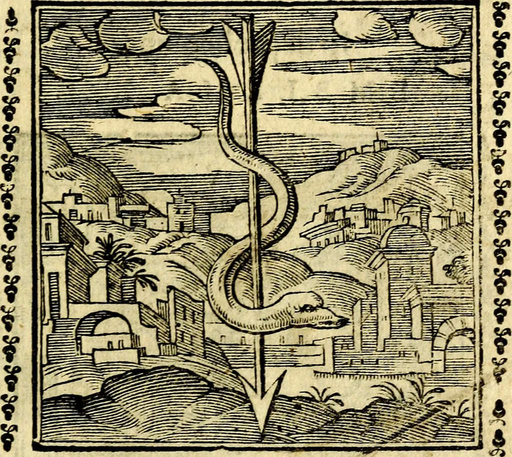 An illustration from Emblemi. Dal latino nel vulgare italiano ridotti, contenenti il fiore et la sostanza de' più scelti scrittori & delle più celebri discipline dell'vniuerso, ripieni di ottimi consigli & saluteuoli documenti, per l'vso ciuile et morale della vita humana, 1626, leaf 40