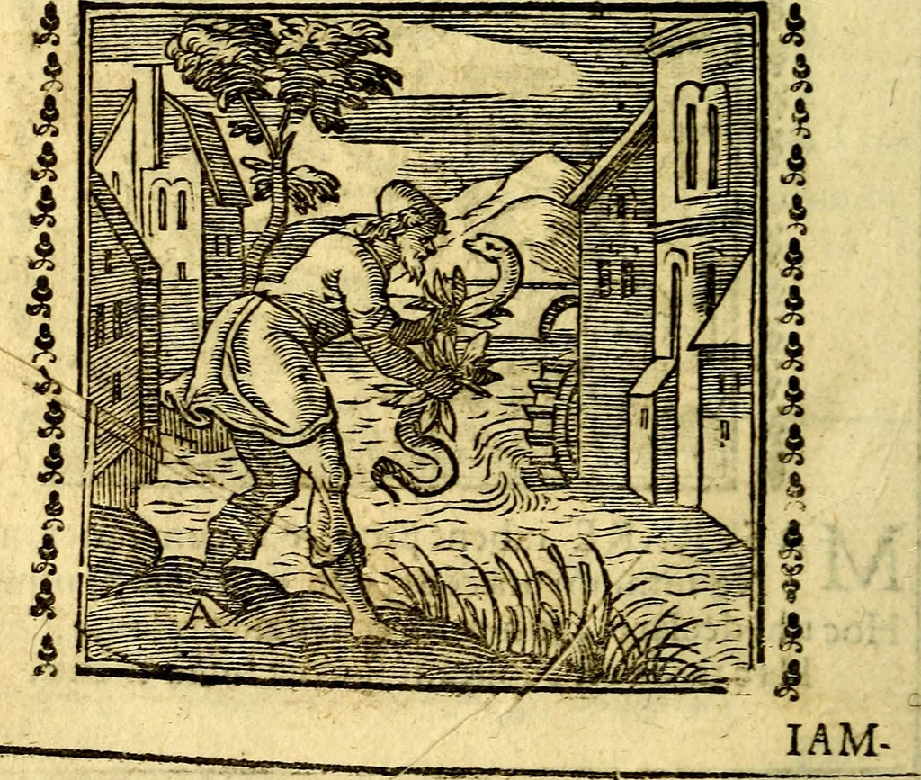 An illustration from Emblemi. Dal latino nel vulgare italiano ridotti, contenenti il fiore et la sostanza de' più scelti scrittori & delle più celebri discipline dell'vniuerso, ripieni di ottimi consigli & saluteuoli documenti, per l'vso ciuile et morale della vita humana, 1626, leaf 41
