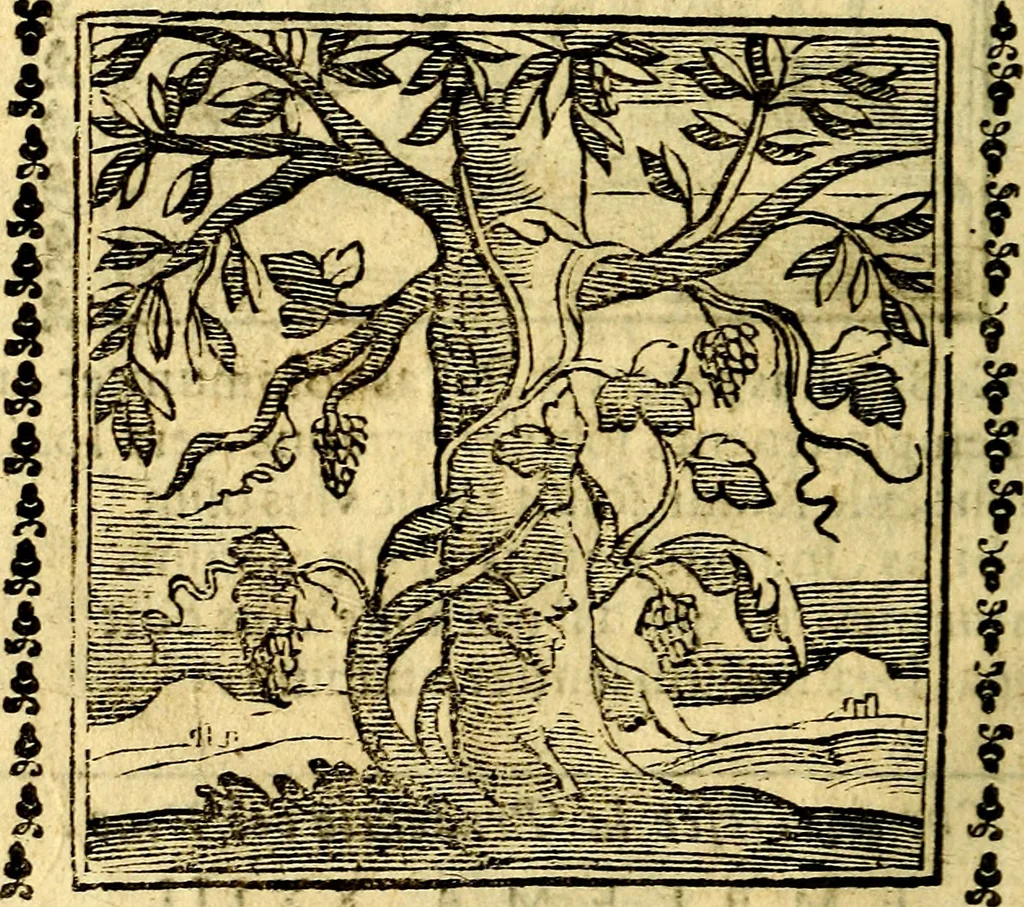 An illustration from Emblemi. Dal latino nel vulgare italiano ridotti, contenenti il fiore et la sostanza de' più scelti scrittori & delle più celebri discipline dell'vniuerso, ripieni di ottimi consigli & saluteuoli documenti, per l'vso ciuile et morale della vita humana, 1626, leaf 45