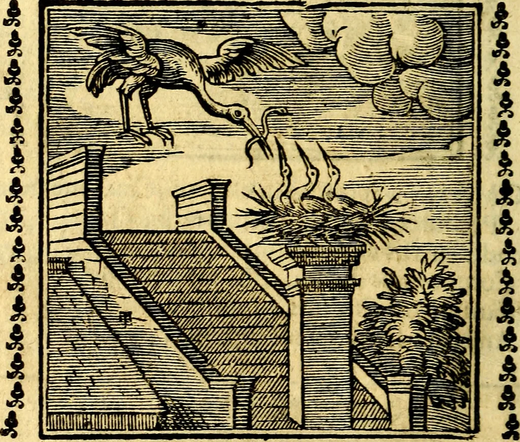 An illustration from Emblemi. Dal latino nel vulgare italiano ridotti, contenenti il fiore et la sostanza de' più scelti scrittori & delle più celebri discipline dell'vniuerso, ripieni di ottimi consigli & saluteuoli documenti, per l'vso ciuile et morale della vita humana, 1626, leaf 55