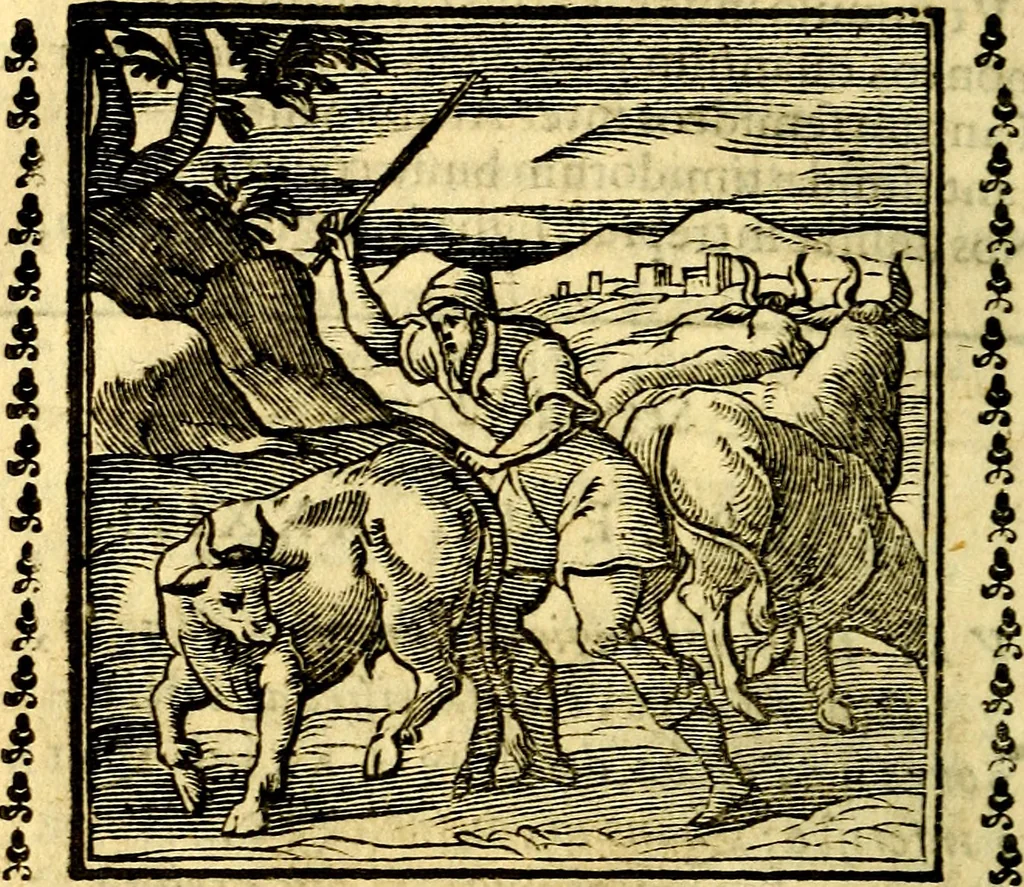 An illustration from Emblemi. Dal latino nel vulgare italiano ridotti, contenenti il fiore et la sostanza de' più scelti scrittori & delle più celebri discipline dell'vniuerso, ripieni di ottimi consigli & saluteuoli documenti, per l'vso ciuile et morale della vita humana, 1626, leaf 61