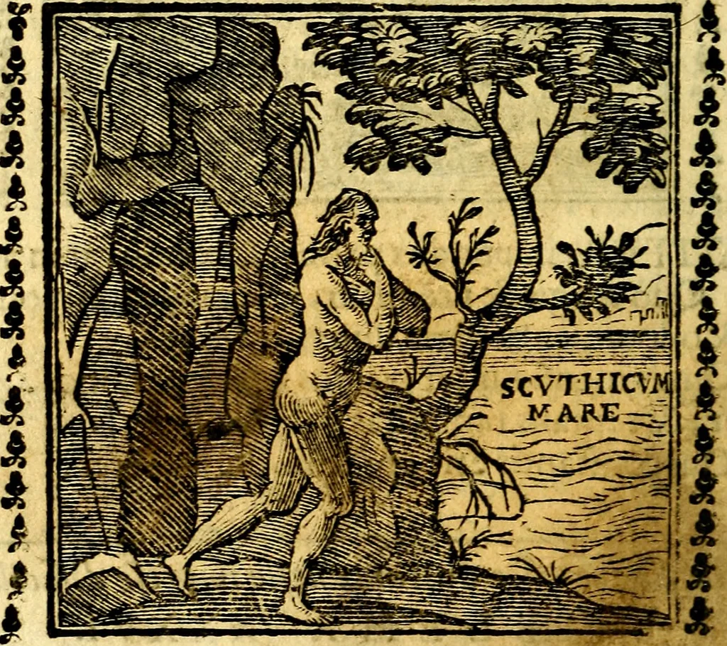 An illustration from Emblemi. Dal latino nel vulgare italiano ridotti, contenenti il fiore et la sostanza de' più scelti scrittori & delle più celebri discipline dell'vniuerso, ripieni di ottimi consigli & saluteuoli documenti, per l'vso ciuile et morale della vita humana, 1626, leaf 65