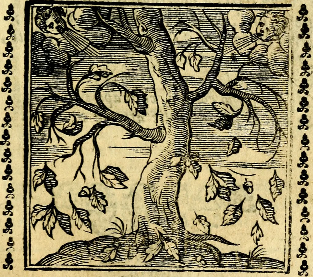 An illustration from Emblemi. Dal latino nel vulgare italiano ridotti, contenenti il fiore et la sostanza de' più scelti scrittori & delle più celebri discipline dell'vniuerso, ripieni di ottimi consigli & saluteuoli documenti, per l'vso ciuile et morale della vita humana, 1626, leaf 72