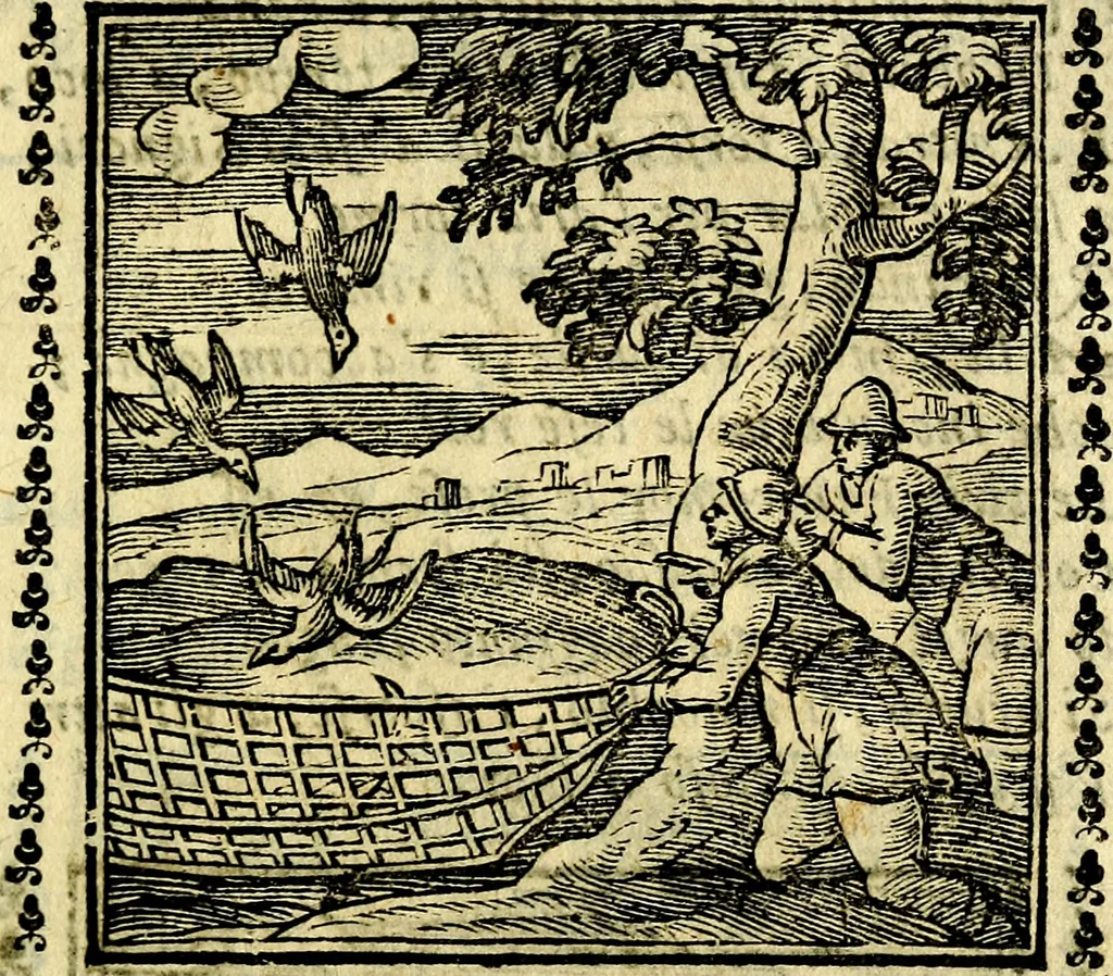 An illustration from Emblemi. Dal latino nel vulgare italiano ridotti, contenenti il fiore et la sostanza de' più scelti scrittori & delle più celebri discipline dell'vniuerso, ripieni di ottimi consigli & saluteuoli documenti, per l'vso ciuile et morale della vita humana, 1626, leaf 84