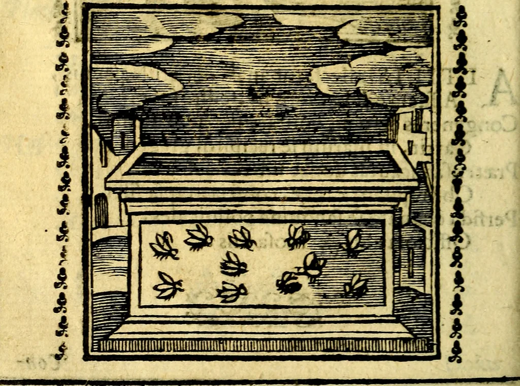 An illustration from Emblemi. Dal latino nel vulgare italiano ridotti, contenenti il fiore et la sostanza de' più scelti scrittori & delle più celebri discipline dell'vniuerso, ripieni di ottimi consigli & saluteuoli documenti, per l'vso ciuile et morale della vita humana, 1626, leaf 85