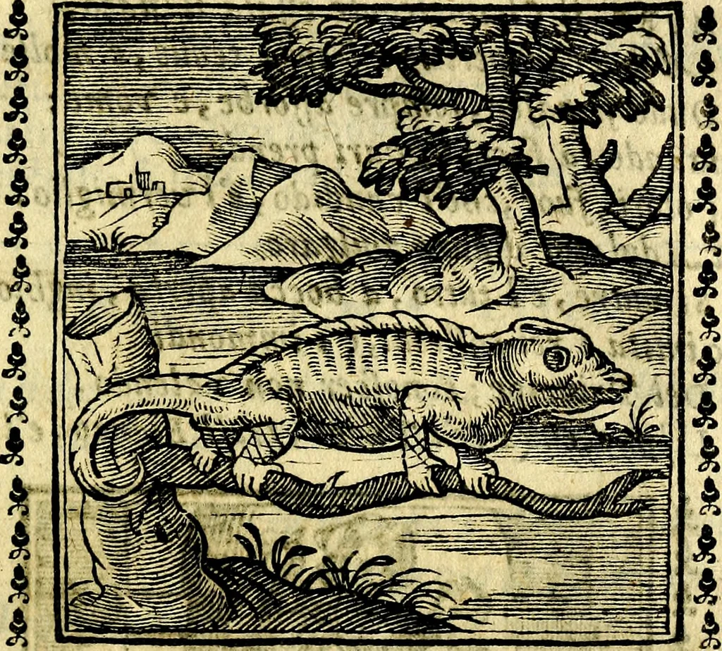 An illustration from Emblemi. Dal latino nel vulgare italiano ridotti, contenenti il fiore et la sostanza de' più scelti scrittori & delle più celebri discipline dell'vniuerso, ripieni di ottimi consigli & saluteuoli documenti, per l'vso ciuile et morale della vita humana, 1626, leaf 88