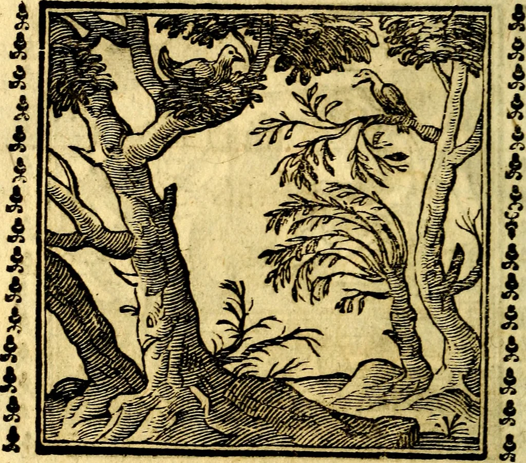 An illustration from Emblemi. Dal latino nel vulgare italiano ridotti, contenenti il fiore et la sostanza de' più scelti scrittori & delle più celebri discipline dell'vniuerso, ripieni di ottimi consigli & saluteuoli documenti, per l'vso ciuile et morale della vita humana, 1626, leaf 97