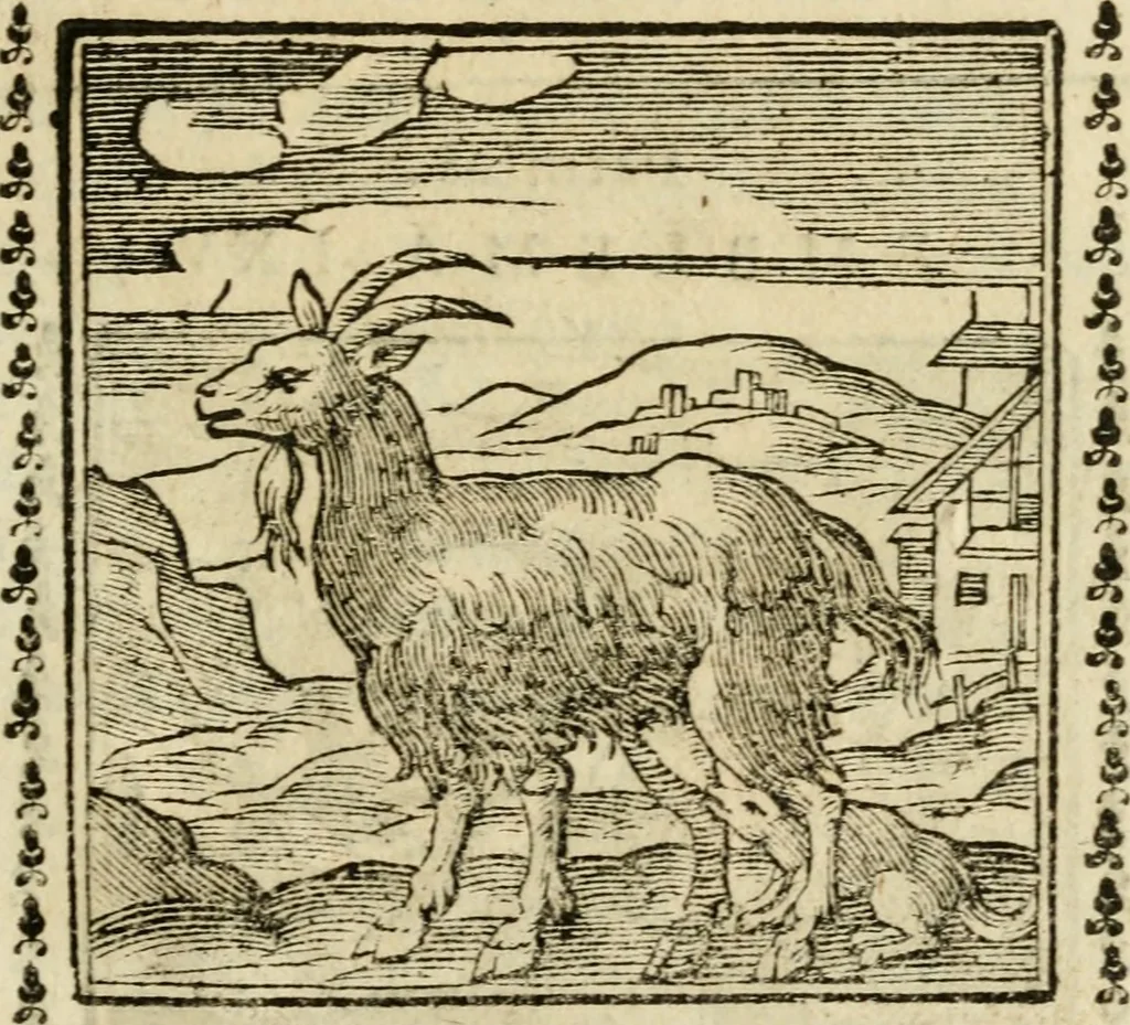 An illustration from Emblemi di Andrea Alciato, huomo chiarissimo, dal latino nel vulgare italiano ridotti, 1626, leaf 102