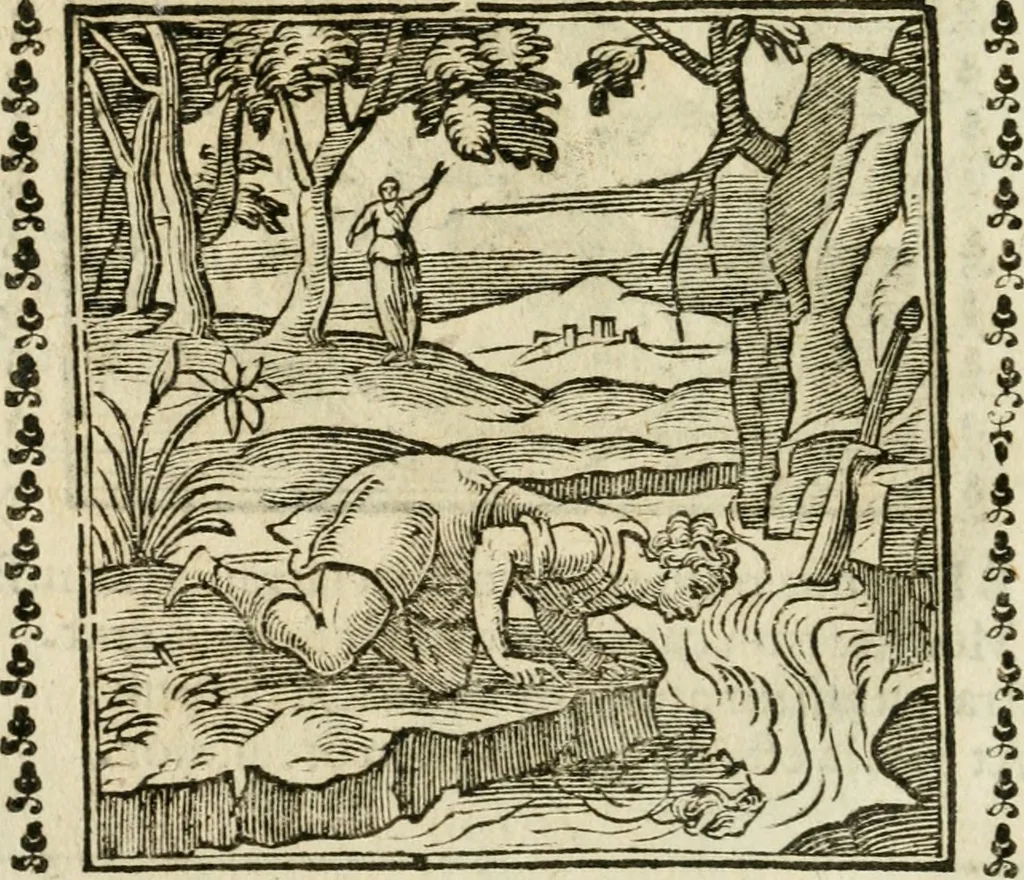 An illustration from Emblemi di Andrea Alciato, huomo chiarissimo, dal latino nel vulgare italiano ridotti, 1626, leaf 109