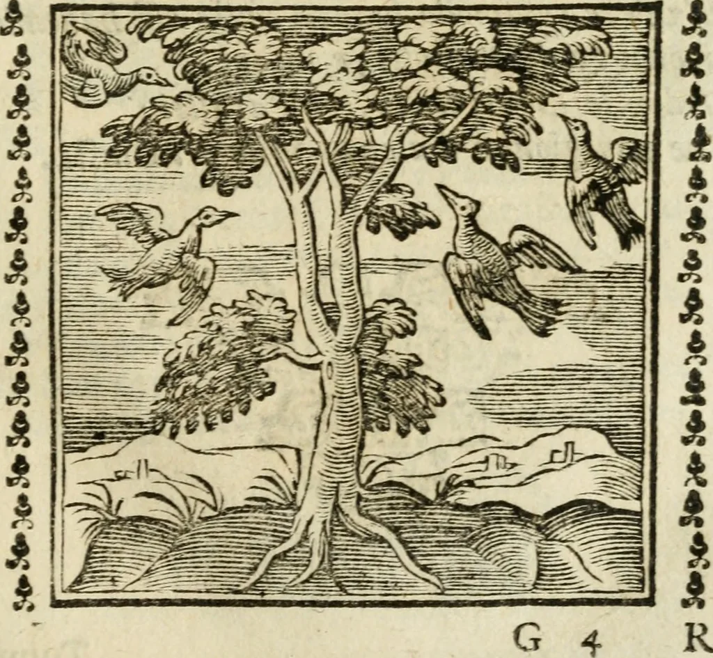 An illustration from Emblemi di Andrea Alciato, huomo chiarissimo, dal latino nel vulgare italiano ridotti, 1626, leaf 114