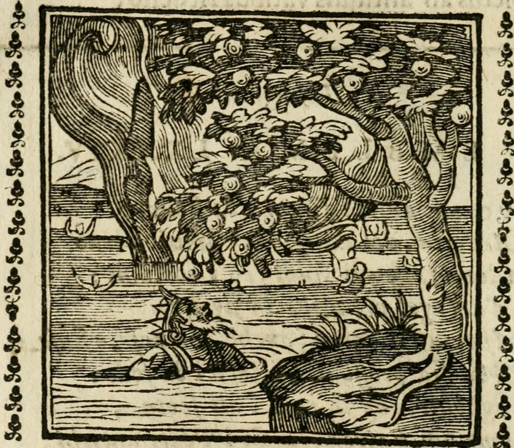 An illustration from Emblemi di Andrea Alciato, huomo chiarissimo, dal latino nel vulgare italiano ridotti, 1626, leaf 131
