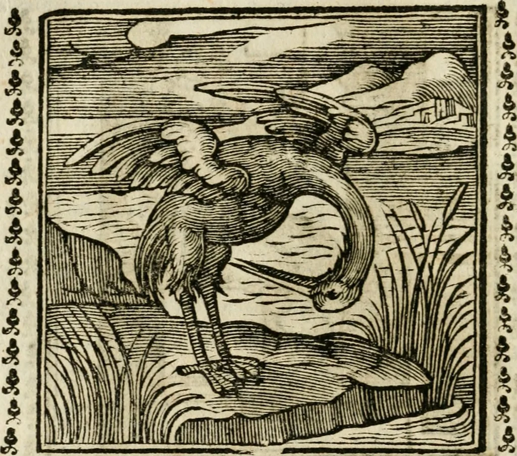 An illustration from Emblemi di Andrea Alciato, huomo chiarissimo, dal latino nel vulgare italiano ridotti, 1626, leaf 135
