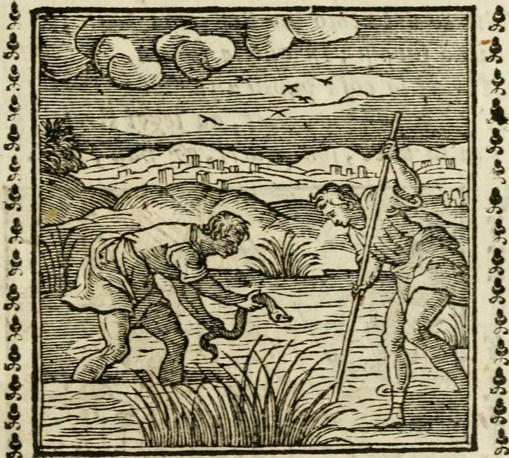 An illustration from Emblemi di Andrea Alciato, huomo chiarissimo, dal latino nel vulgare italiano ridotti, 1626, leaf 136