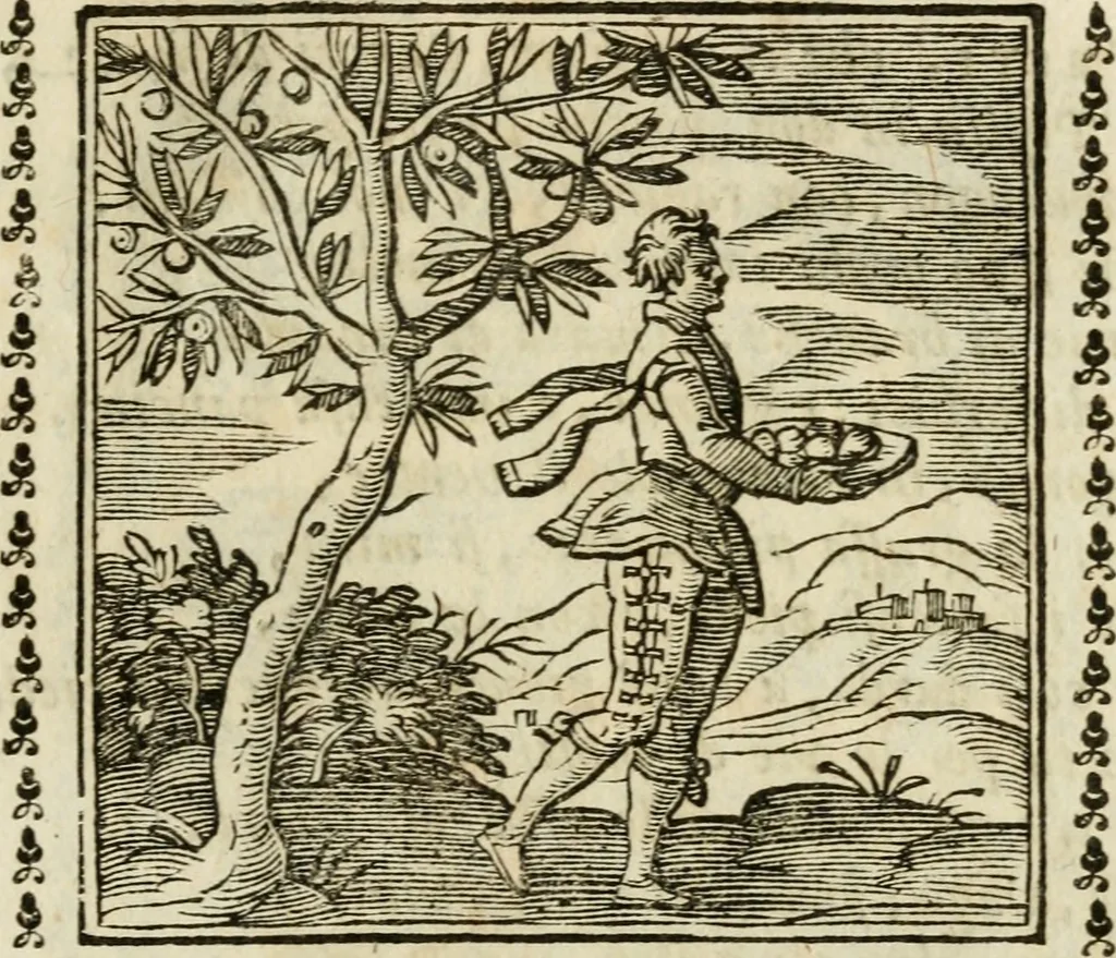 An illustration from Emblemi di Andrea Alciato, huomo chiarissimo, dal latino nel vulgare italiano ridotti, 1626, leaf 142