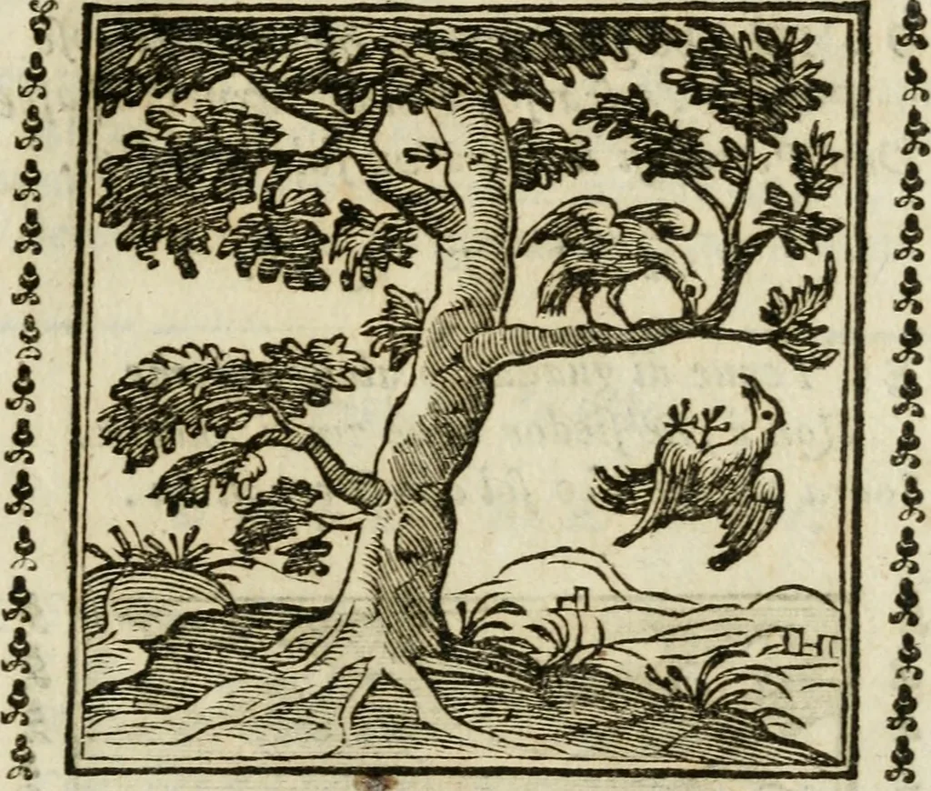 An illustration from Emblemi di Andrea Alciato, huomo chiarissimo, dal latino nel vulgare italiano ridotti, 1626, leaf 144