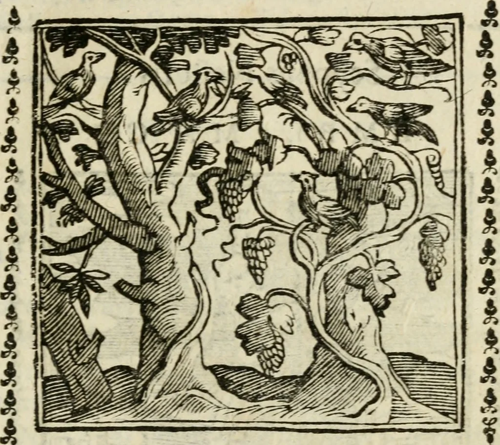 An illustration from Emblemi di Andrea Alciato, huomo chiarissimo, dal latino nel vulgare italiano ridotti, 1626, leaf 156