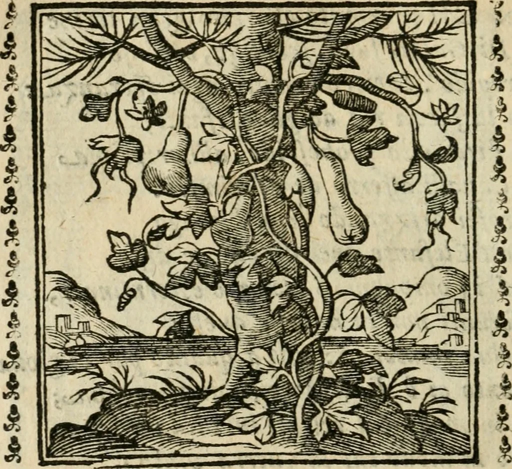 An illustration from Emblemi di Andrea Alciato, huomo chiarissimo, dal latino nel vulgare italiano ridotti, 1626, leaf 195
