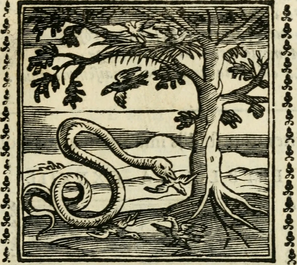 An illustration from Emblemi di Andrea Alciato, huomo chiarissimo, dal latino nel vulgare italiano ridotti, 1626, leaf 206