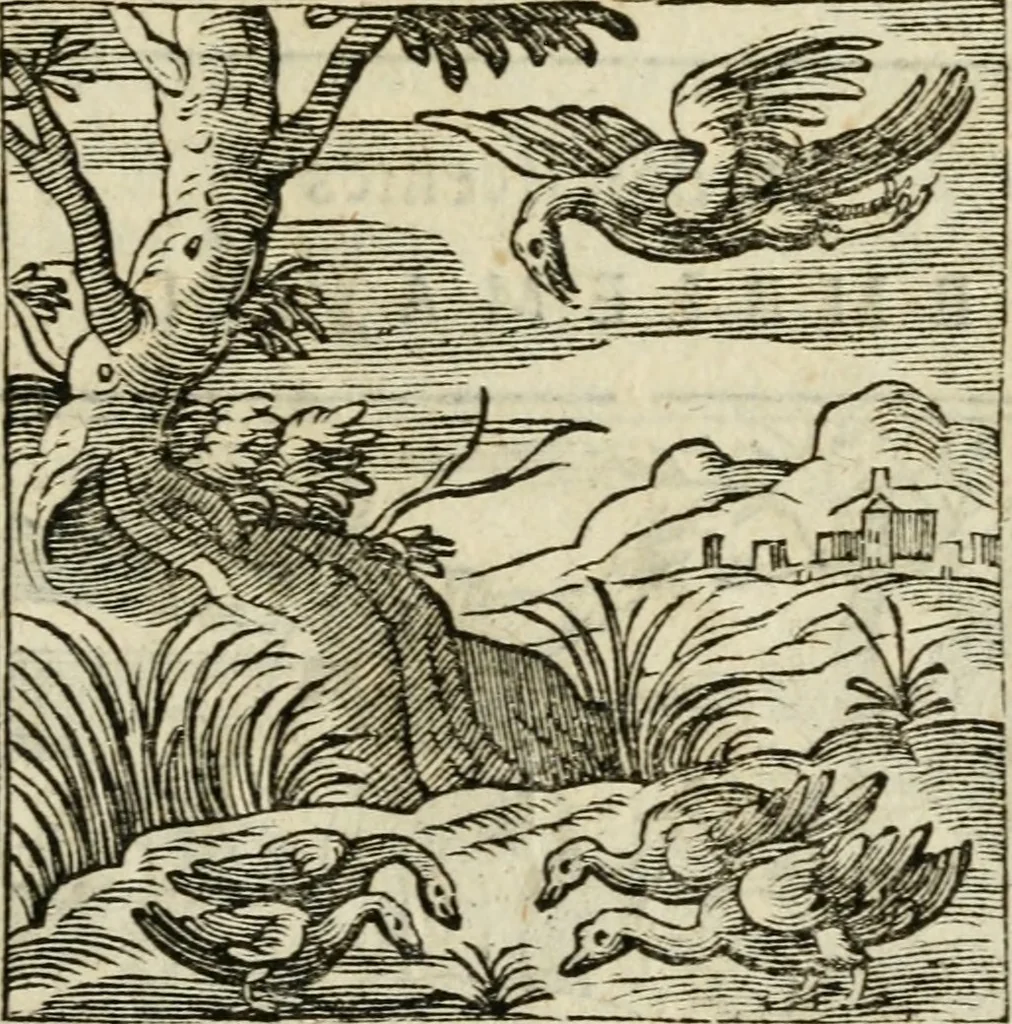 An illustration from Emblemi di Andrea Alciato, huomo chiarissimo, dal latino nel vulgare italiano ridotti, 1626, leaf 218