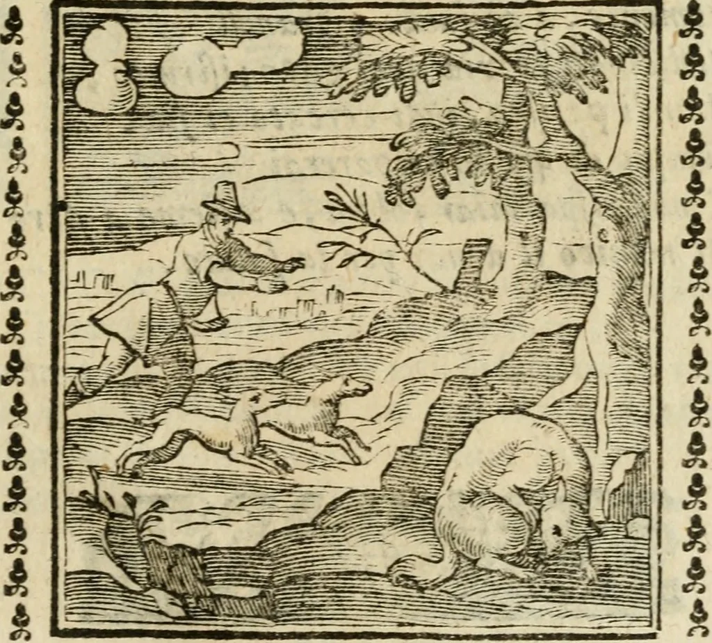 An illustration from Emblemi di Andrea Alciato, huomo chiarissimo, dal latino nel vulgare italiano ridotti, 1626, leaf 236