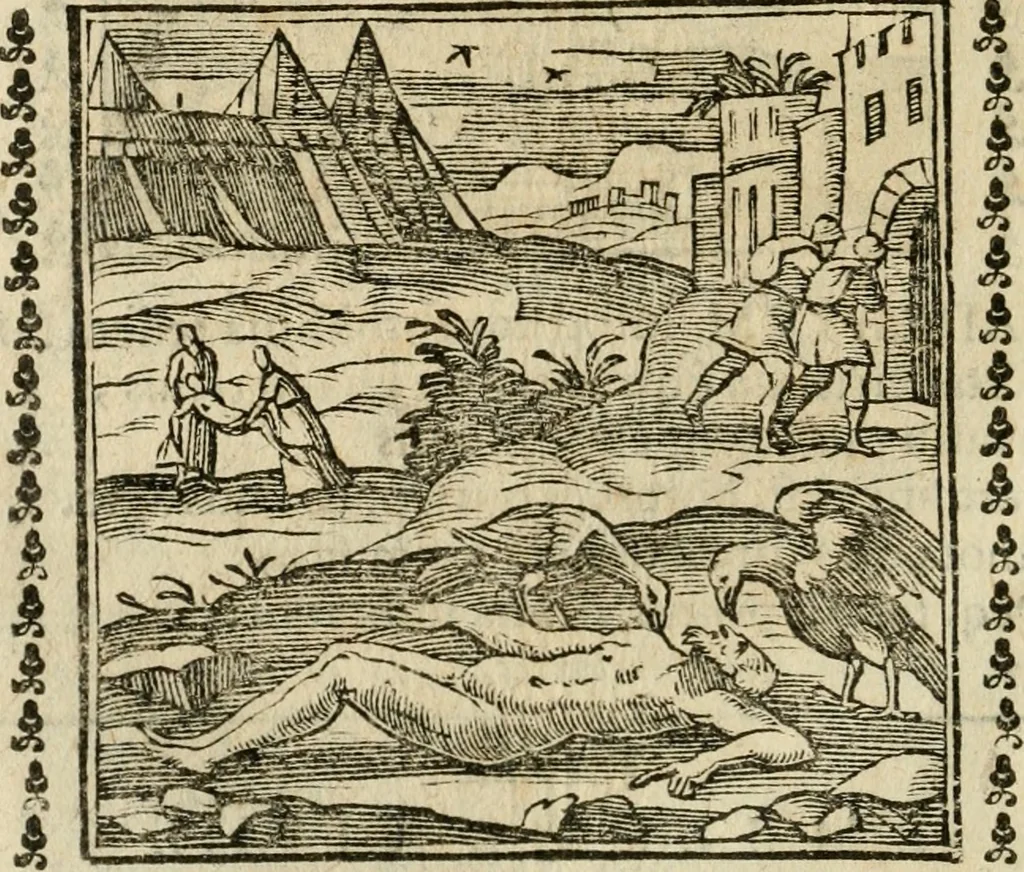 An illustration from Emblemi di Andrea Alciato, huomo chiarissimo, dal latino nel vulgare italiano ridotti, 1626, leaf 245