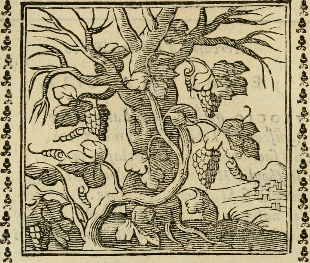 An illustration from Emblemi di Andrea Alciato, huomo chiarissimo, dal latino nel vulgare italiano ridotti, 1626, leaf 247