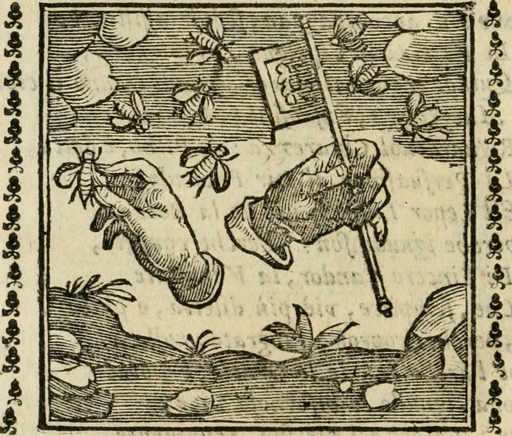 An illustration from Emblemi di Andrea Alciato, huomo chiarissimo, dal latino nel vulgare italiano ridotti, 1626, leaf 253