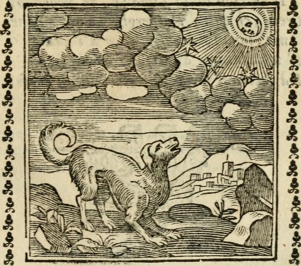 An illustration from Emblemi di Andrea Alciato, huomo chiarissimo, dal latino nel vulgare italiano ridotti, 1626, leaf 254
